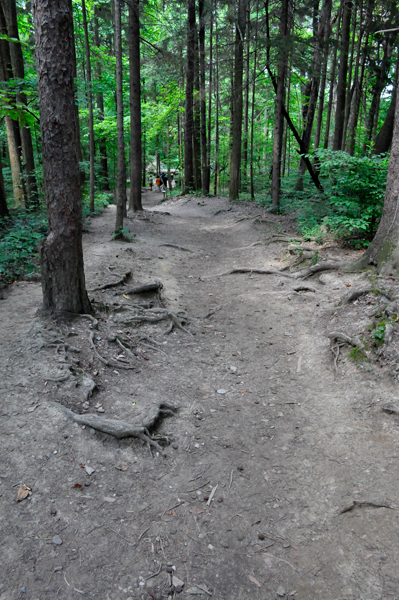 trail to The Rock House